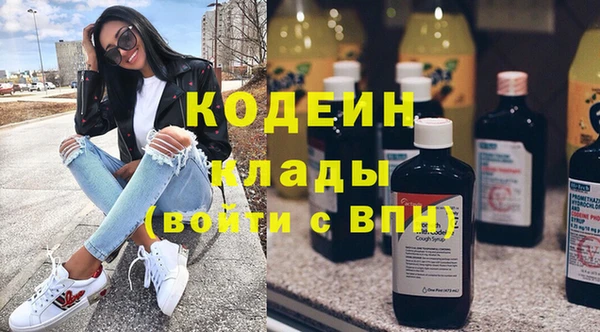 прущий лед Бородино