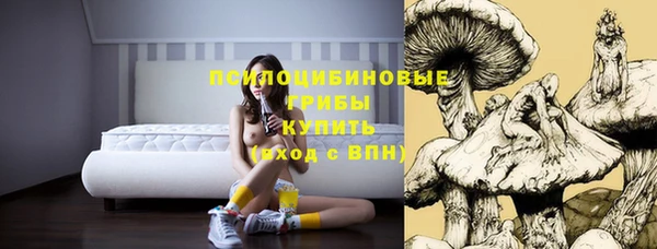 соль ск Бугульма
