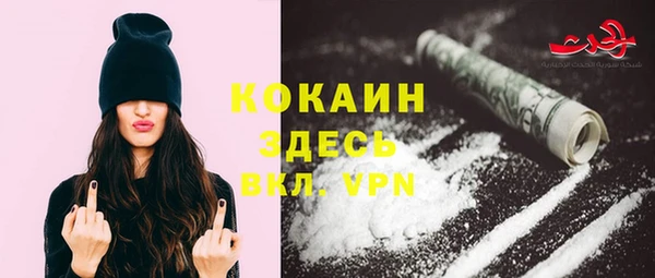 прущий лед Бородино