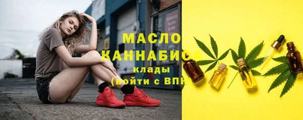 прущий лед Бородино