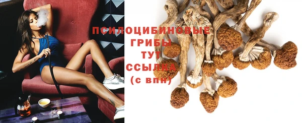 прущий лед Бородино