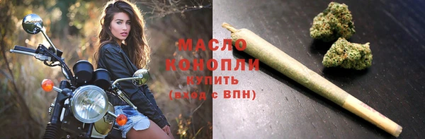 прущий лед Бородино